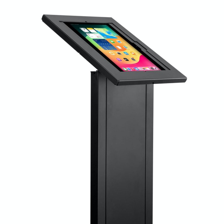 WhatsApp Image 2026-02-12 at 16.51.28